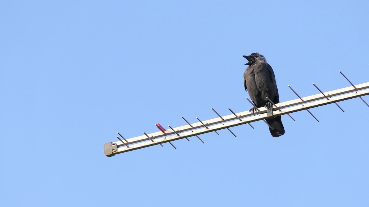 A Condensed Tesswave Antenna List